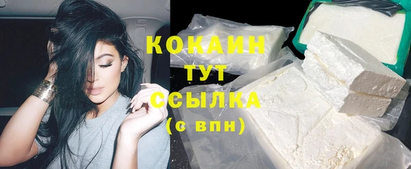 альфа пвп Новодвинск