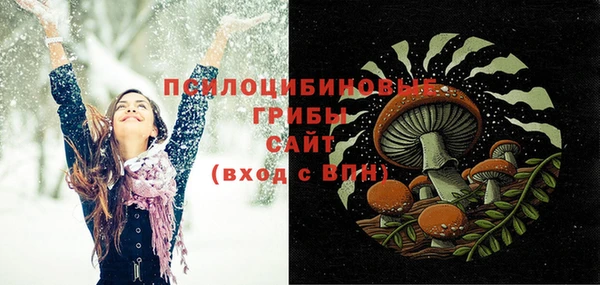 альфа пвп Новодвинск
