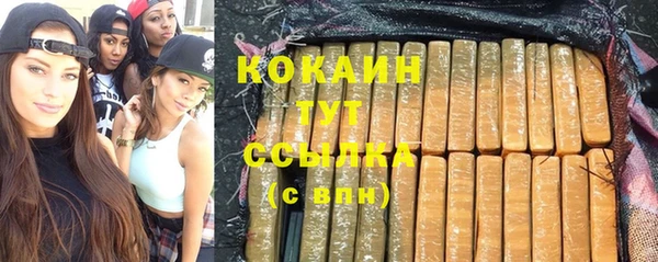 альфа пвп Новодвинск